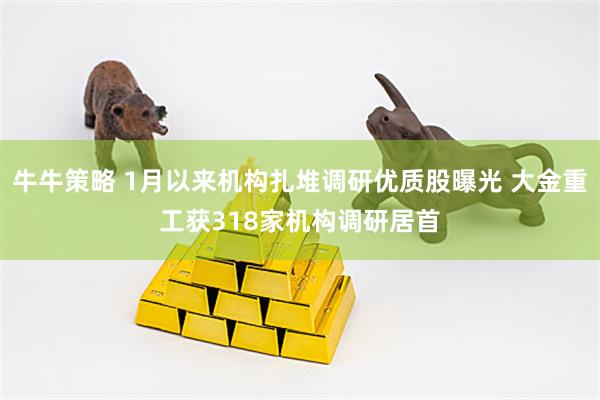 牛牛策略 1月以来机构扎堆调研优质股曝光 大金重工获318家机构调研居首