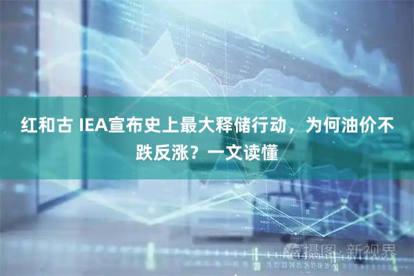 红和古 IEA宣布史上最大释储行动，为何油价不跌反涨？一文读懂