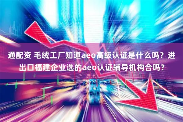 通配资 毛绒工厂知道aeo高级认证是什么吗？进出口福建企业选的aeo认证辅导机构合吗？