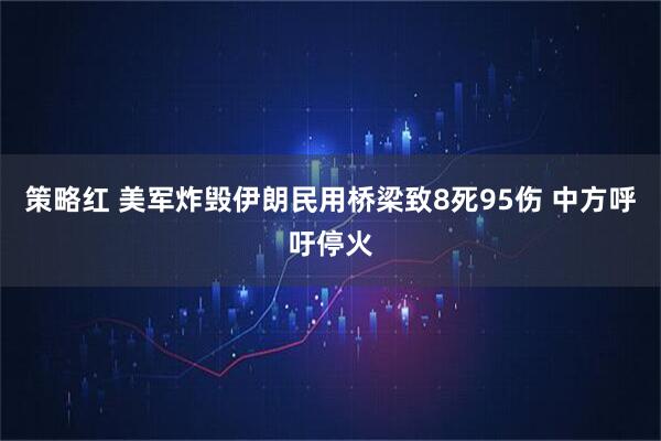 策略红 美军炸毁伊朗民用桥梁致8死95伤 中方呼吁停火