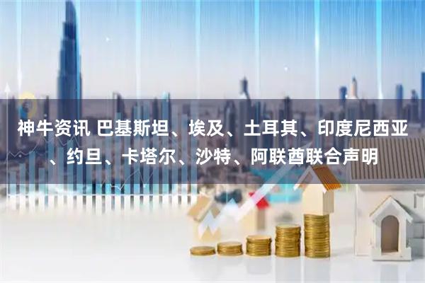 神牛资讯 巴基斯坦、埃及、土耳其、印度尼西亚、约旦、卡塔尔、沙特、阿联酋联合声明