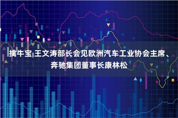 擒牛宝 王文涛部长会见欧洲汽车工业协会主席、奔驰集团董事长康林松