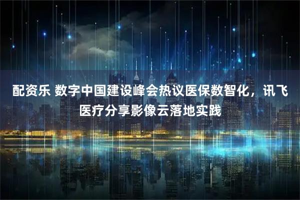 配资乐 数字中国建设峰会热议医保数智化，讯飞医疗分享影像云落地实践