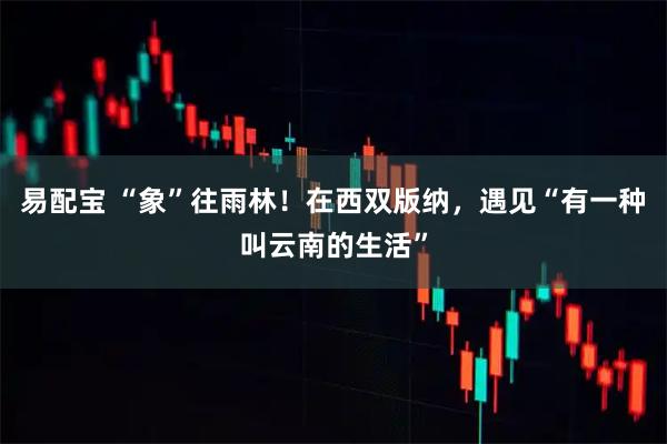 易配宝 “象”往雨林！在西双版纳，遇见“有一种叫云南的生活”