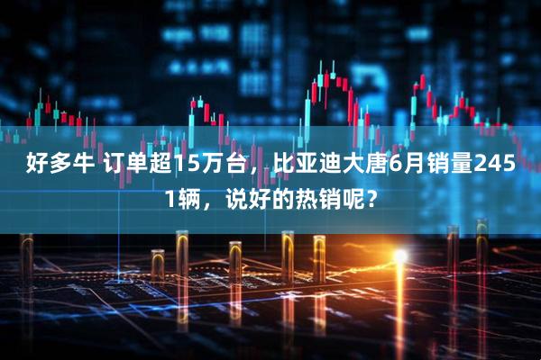 好多牛 订单超15万台，比亚迪大唐6月销量2451辆，说好的热销呢？