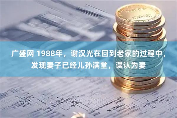 广盛网 1988年，谢汉光在回到老家的过程中，发现妻子已经儿孙满堂，误认为妻