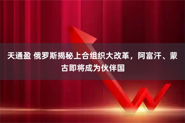天通盈 俄罗斯揭秘上合组织大改革，阿富汗、蒙古即将成为伙伴国
